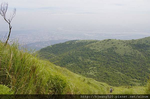 大屯山主峰