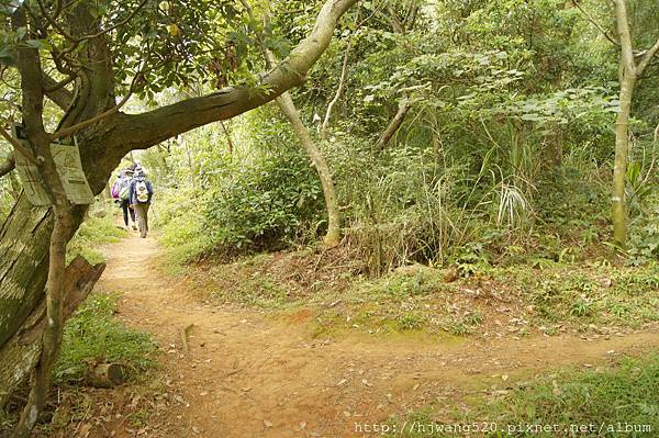 楊梅福山步道