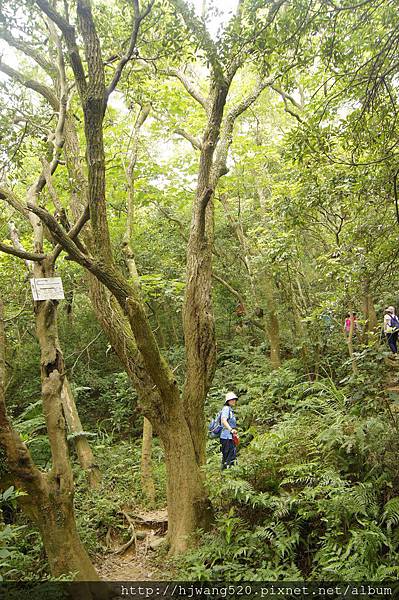 楊梅福山步道