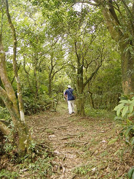 猴山岳