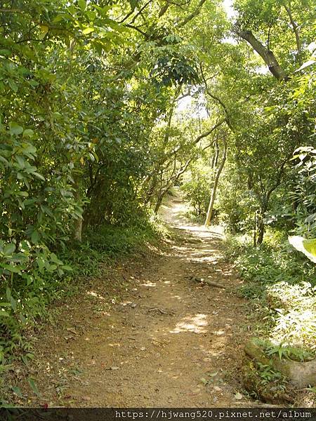 金面山步道