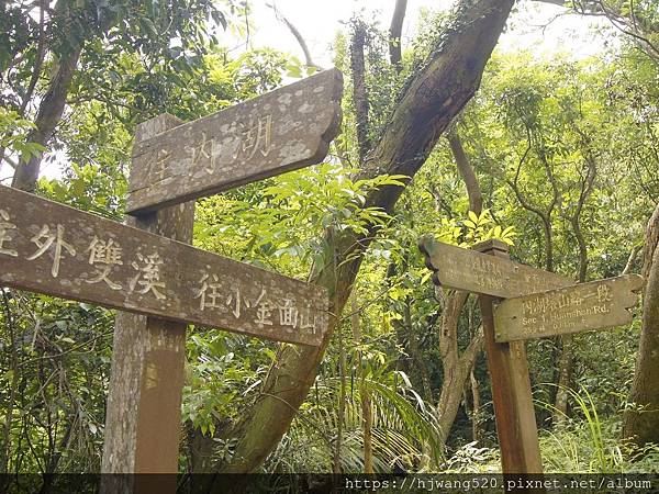 金面山步道