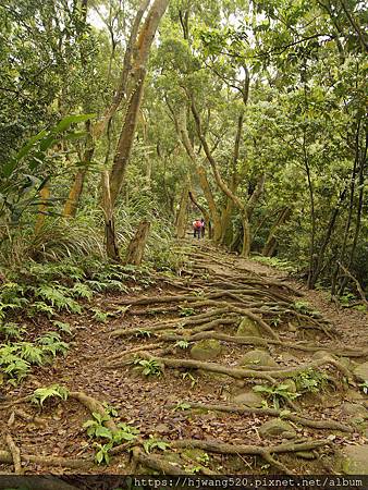 19 04 13飛鳳山觀日坪古道 Koei的旅行 痞客邦 19 04 13飛鳳山觀日坪古道 Koei的旅行 痞客邦