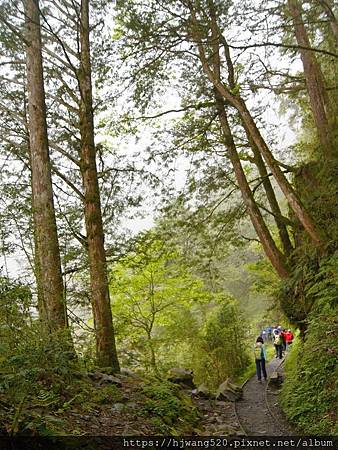 見晴步道