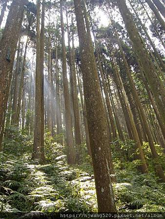 加里山