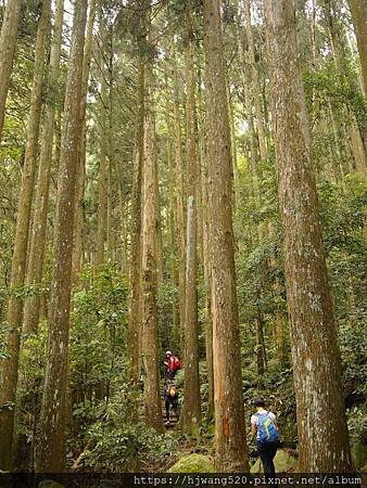 加里山