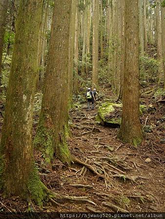 加里山