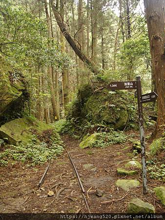 加里山