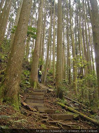 加里山