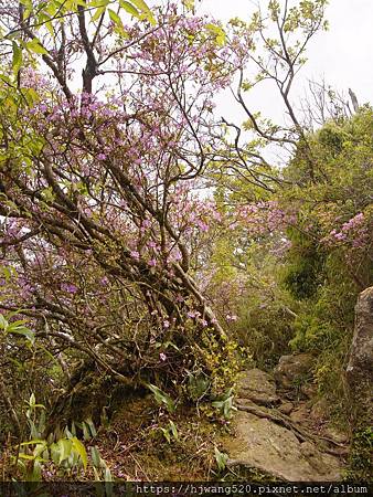 加里山