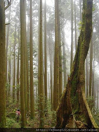 加里山