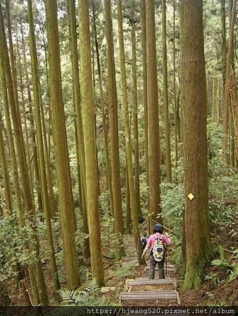 加里山