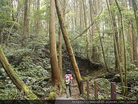 加里山