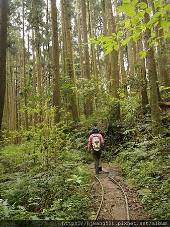 加里山