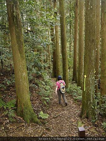 加里山