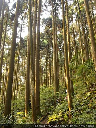 加里山