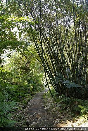 大成殿步道