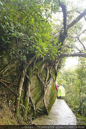 劍潭山步道