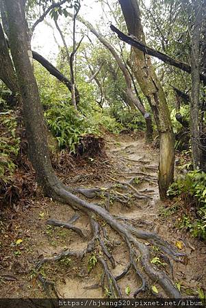 文間山