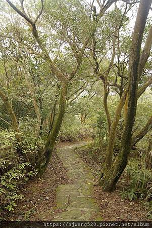 忠勇山越嶺步道