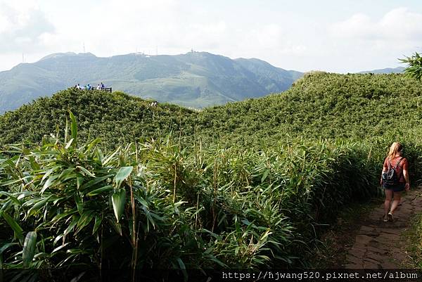 小油坑