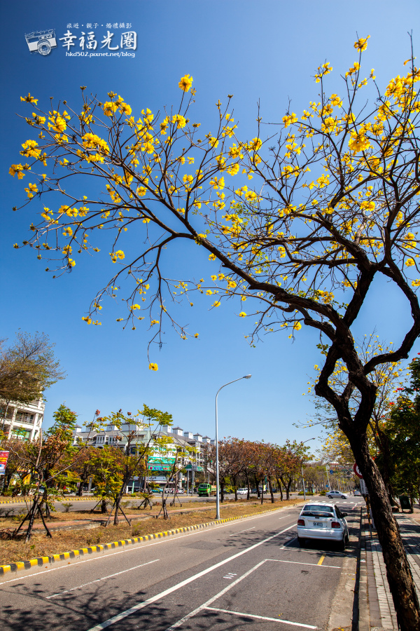 東豐路-201.jpg