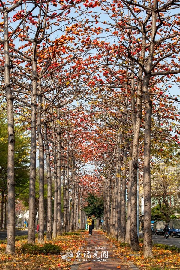 東豐路-16.jpg 東豐路-16.jpg