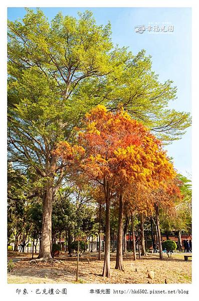 巴克禮公園-113.jpg