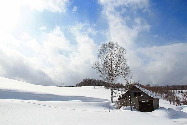 13北海道3515s.jpg