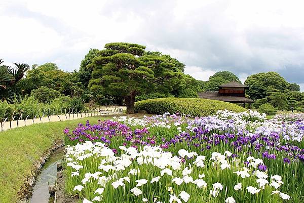 14四國岡山和歌山4205s.JPG