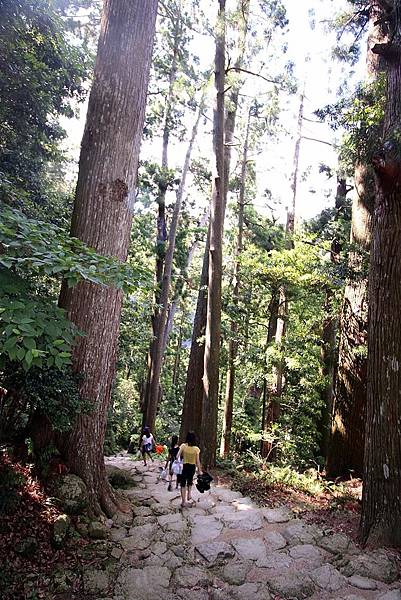 14四國岡山和歌山5245s