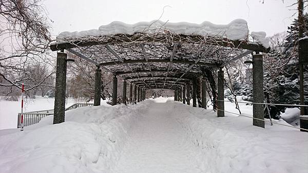 1701北海道1273-DSC_0358