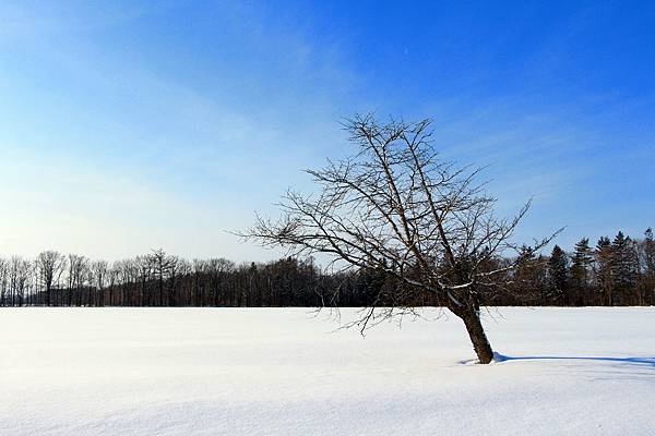 1701北海道3220-IMG_1579