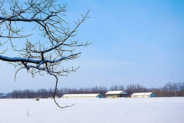 1701北海道3017-DSC02990a