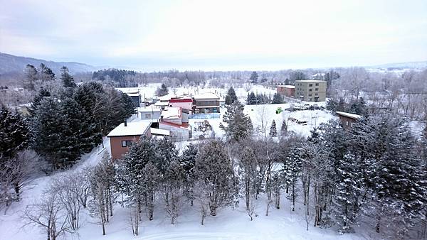 1701北海道4033-DSC_0867