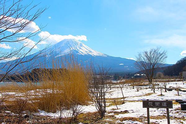 1701北海道5391-IMG_2041a