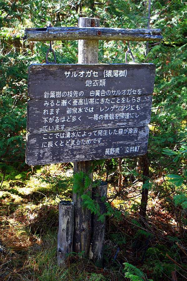 1810白樺高原京都伊勢day4 女神湖 蓼科高原 御泉水自然園 白樺高原総合観光遊客中心 白樺高原國際滑雪場 蓼仙の滝 池の平白樺 高原酒店 微笑巴士 愛知大学白樺高原ロッジ 長門牧場 觀星體驗 獵戶座流星雨 Hkt的部落格 1810白樺高原京都伊勢day4 女神湖 蓼科高原 御泉水自然園 白樺高原総合観光遊客中心 白樺高原國際滑雪場 蓼仙の滝 池の平白樺 高原酒店 微笑巴士 愛知大学白樺高原ロッジ 長門牧場 觀星體驗 獵戶座流星雨 Hkt的部落格