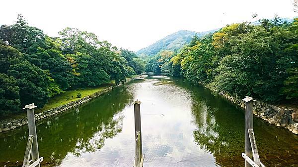 1809白樺高原2990-DSC_3174sa.jpg