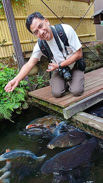 1906岐阜關西20190531-132102-xz3-sd-DSC_6474sa.jpg