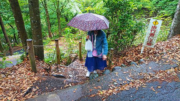 1906岐阜關西20190531-145504-xz3-sd-DSC_6512sa.jpg