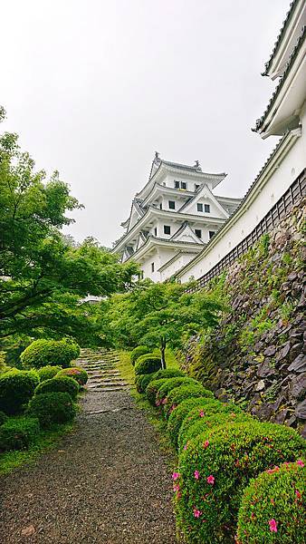 1906岐阜關西20190531-152329-xz3-sd-DSC_6534sa.jpg