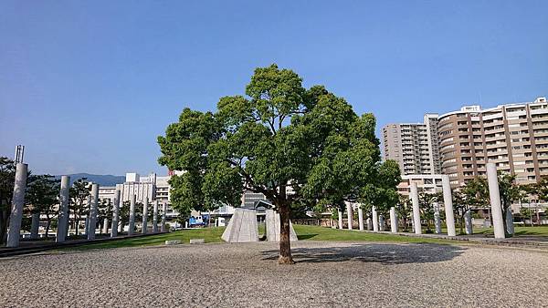 1906岐阜關西20190606-065107-xz3-sd-DSC_8423s.JPG