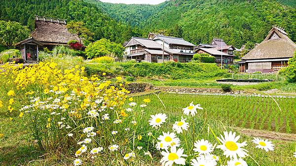 1906岐阜關西20190606-151715-xz3-sd-DSC_8653sa.jpg