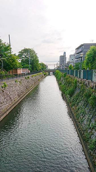 1906岐阜關西20190609-064825-xz3-sd-DSC_9699sa.jpg