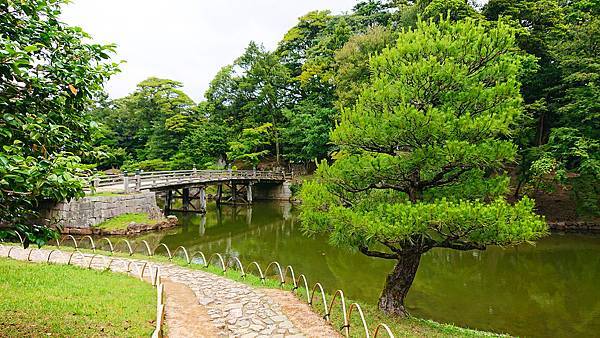 1906岐阜關西20190609-113745-xz3-sd-DSC_9849sa.jpg