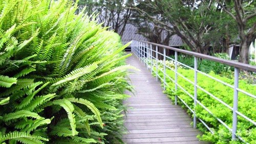 img2386.jpg img2386.jpg