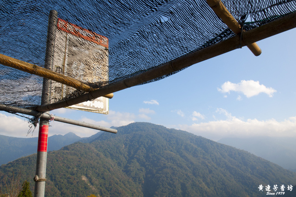 桃園拉拉山追風去 -1.jpg