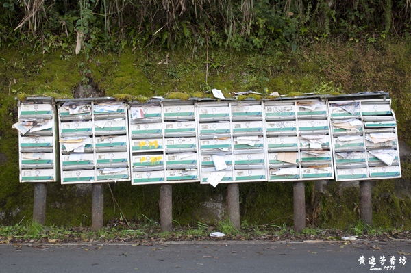 桃園拉拉山追風去 -4.jpg