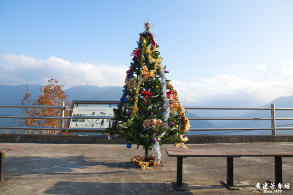桃園拉拉山追風去 -6.jpg