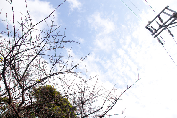 三芝 芝柏山莊-芝柏藝術村-7.jpg